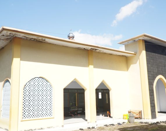 DSC05954