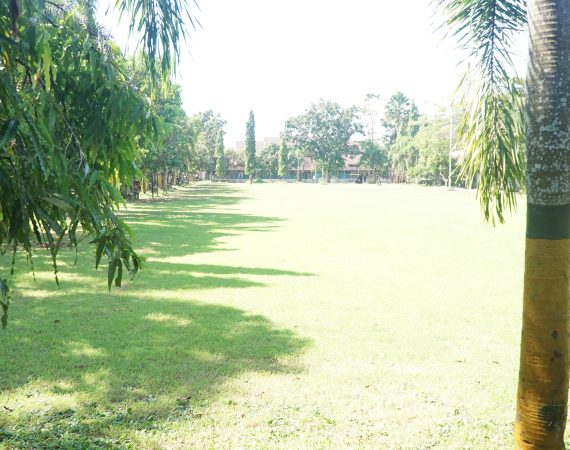 DSC06084